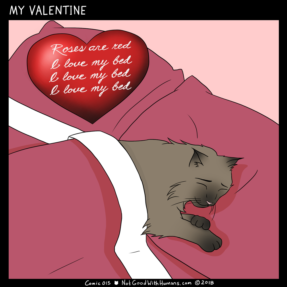 my valentine 015 not good with humans notgoodwithhumans.com cats cat