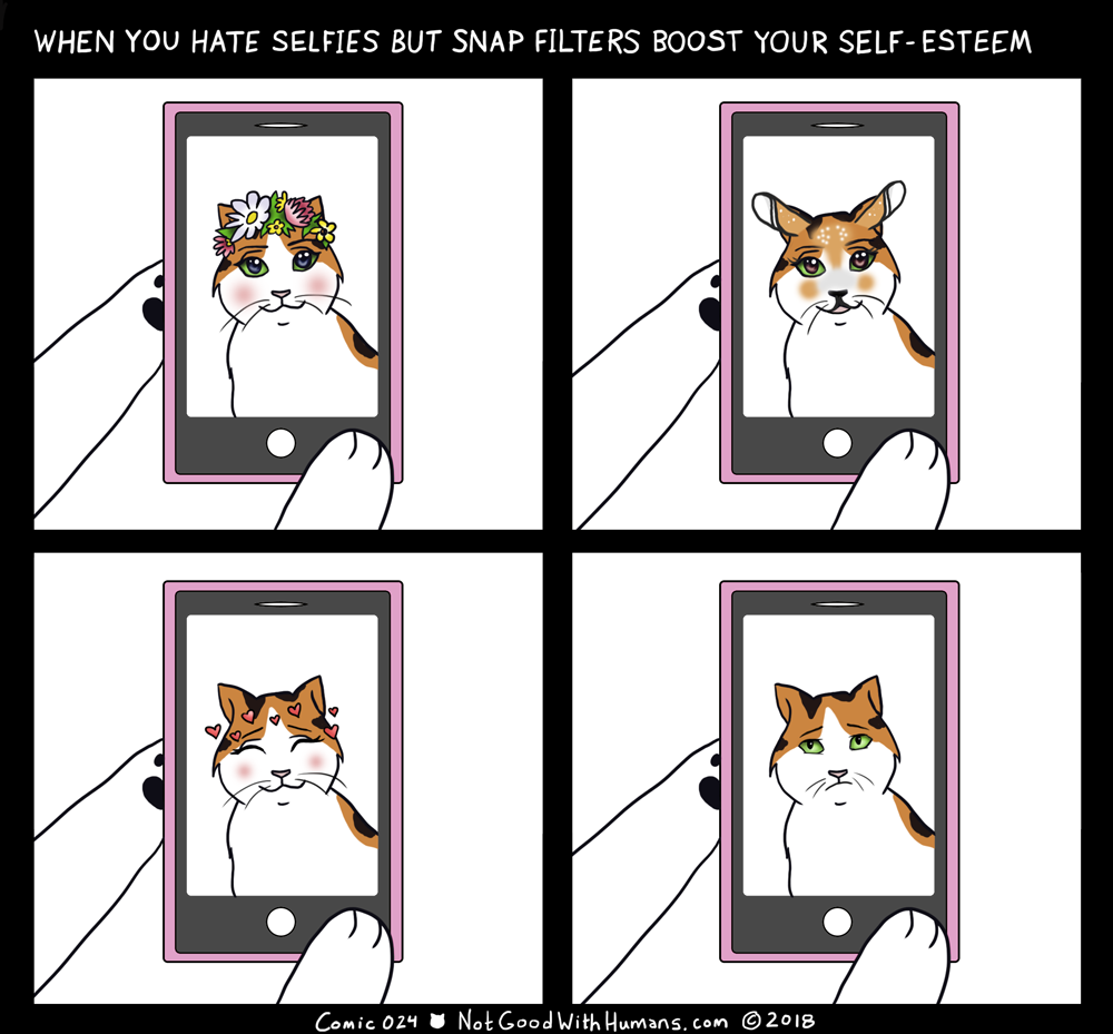 not good with humans notgoodwithhumans.com cat cats introvert introverts 
