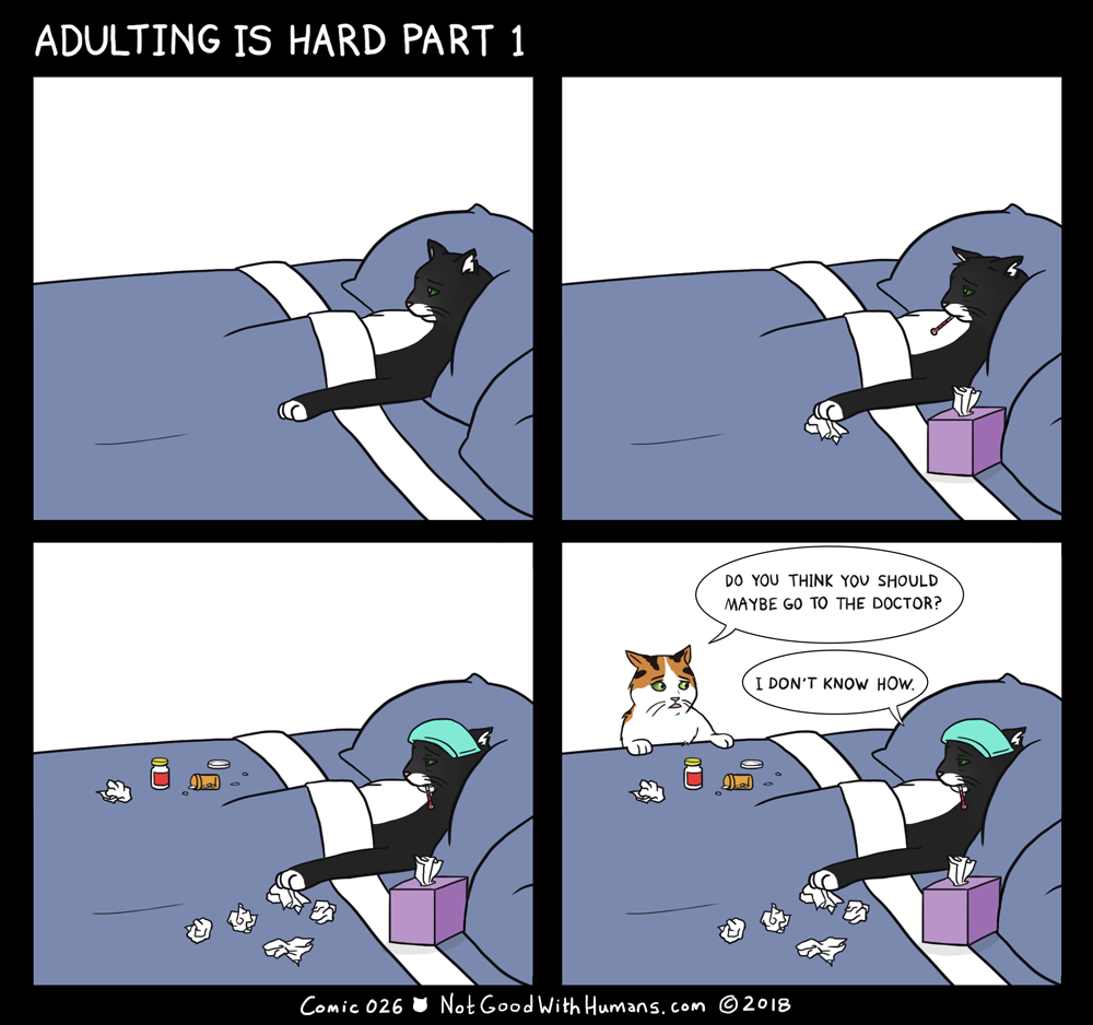 not good with humans notgoodwithhumans.com cat cats introvert introverts 