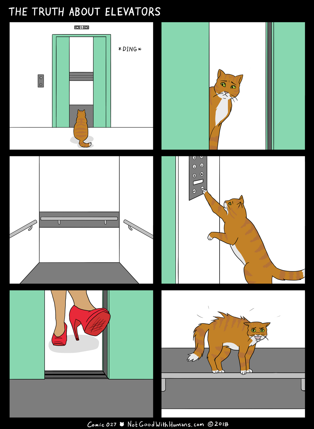not good with humans notgoodwithhumans.com cat cats introvert introverts 