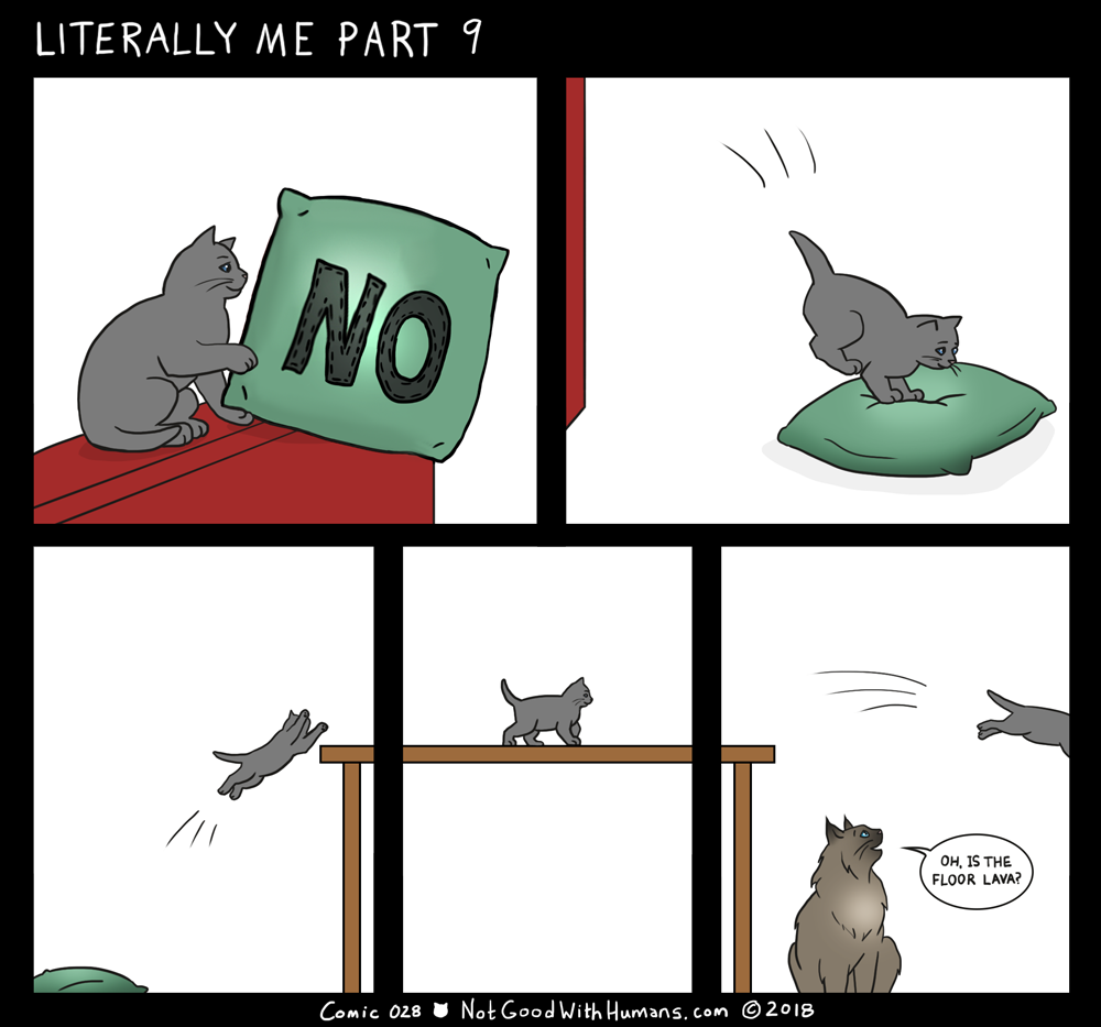 not good with humans notgoodwithhumans.com cat cats introvert introverts 