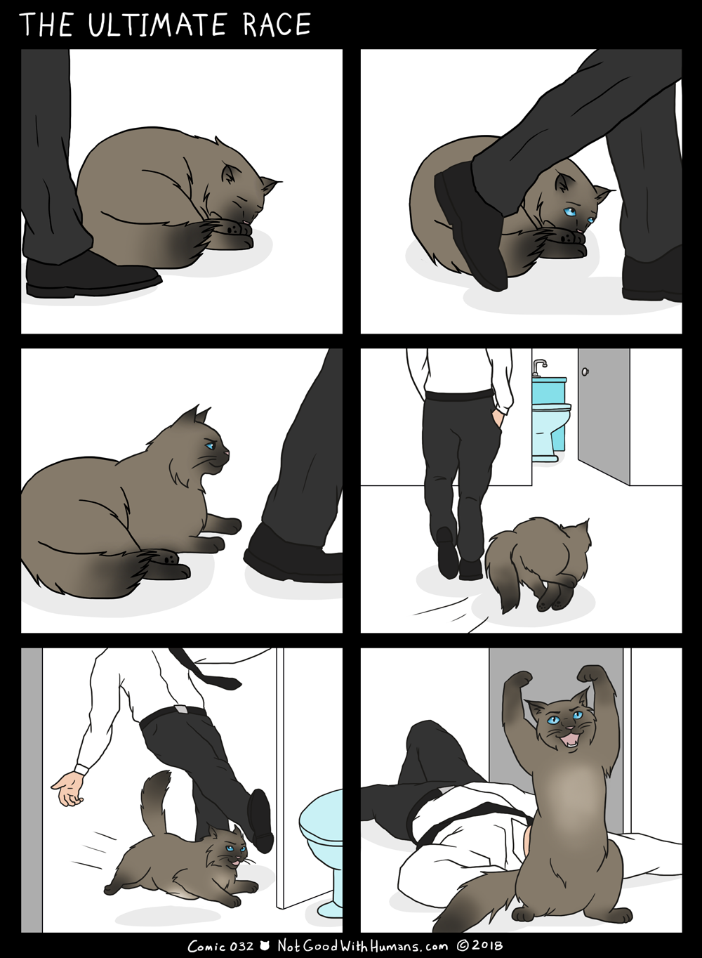 not good with humans notgoodwithhumans.com cat cats introvert introverts 