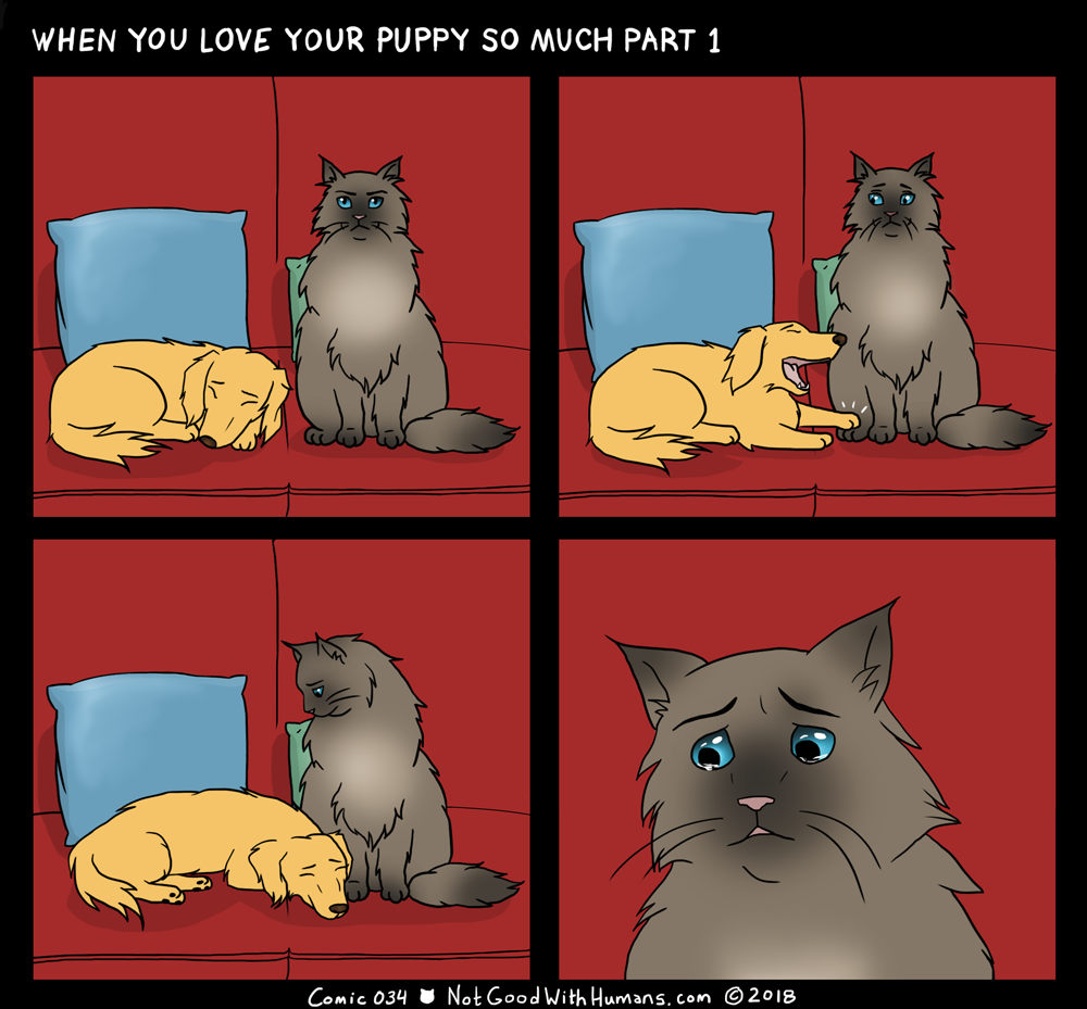 not good with humans notgoodwithhumans.com cat cats introvert introverts 