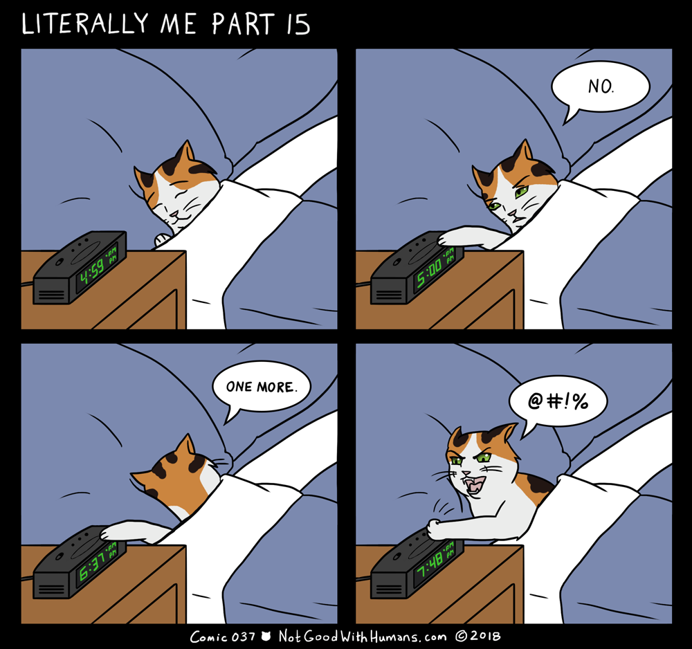 not good with humans notgoodwithhumans.com cat cats introvert introverts 