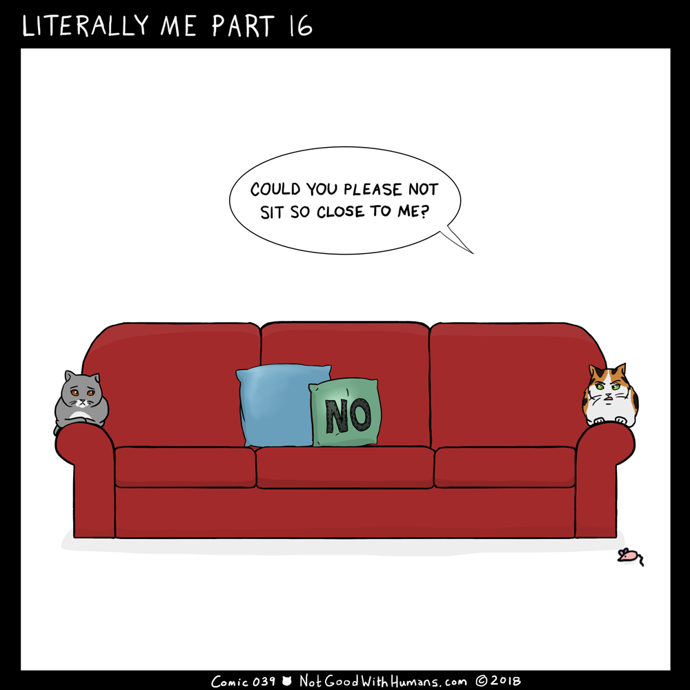 not good with humans notgoodwithhumans.com cat cats introvert introverts 