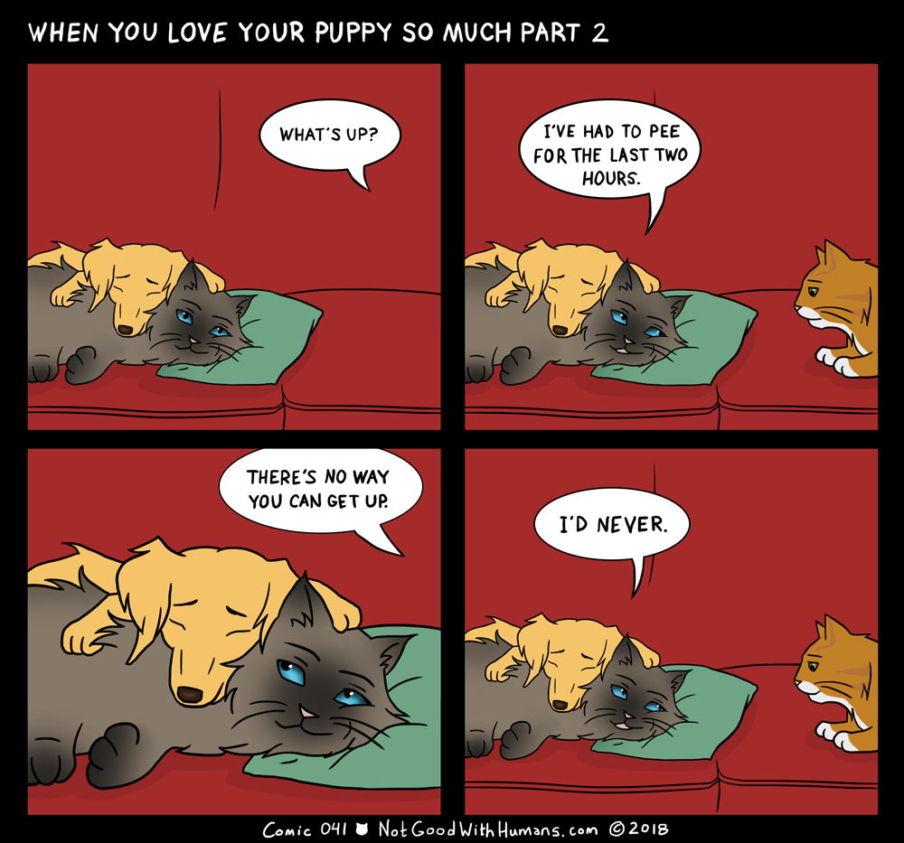 not good with humans notgoodwithhumans.com cat cats introvert introverts 