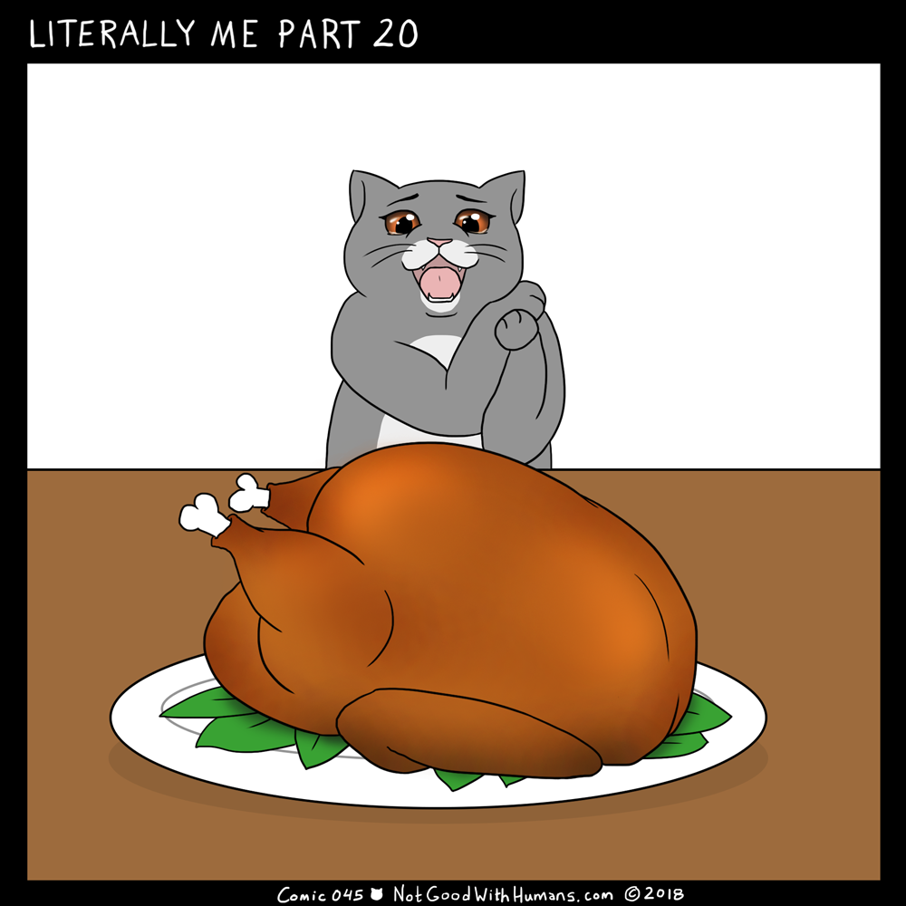 not good with humans notgoodwithhumans.com cat cats introvert introverts 
