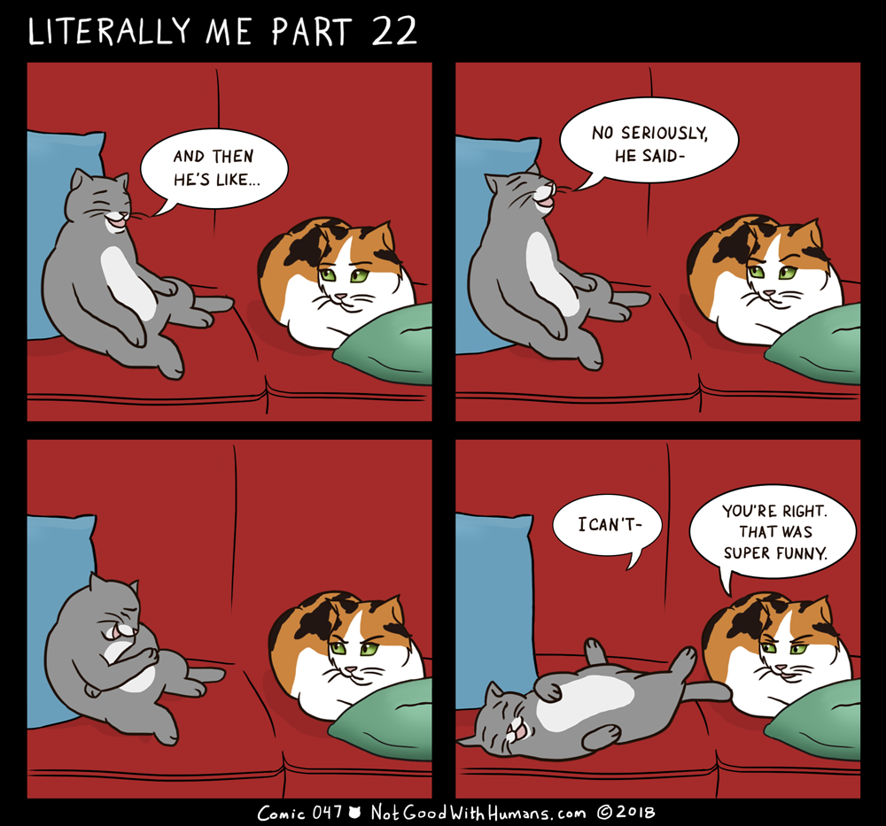 not good with humans notgoodwithhumans.com cat cats introvert introverts 