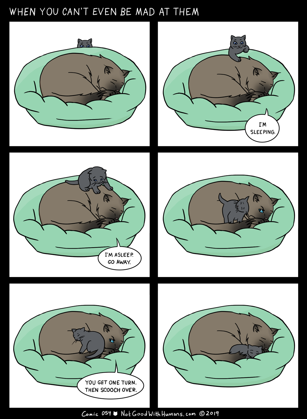 not good with humans notgoodwithhumans.com cat cats introvert introverts 