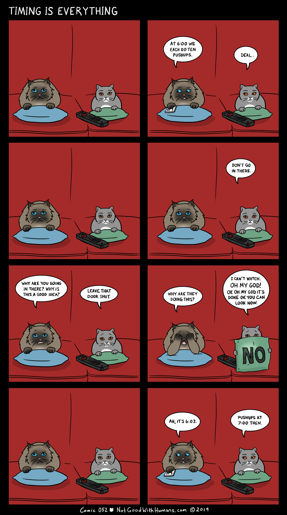 not good with humans notgoodwithhumans.com cat cats introvert introverts 
