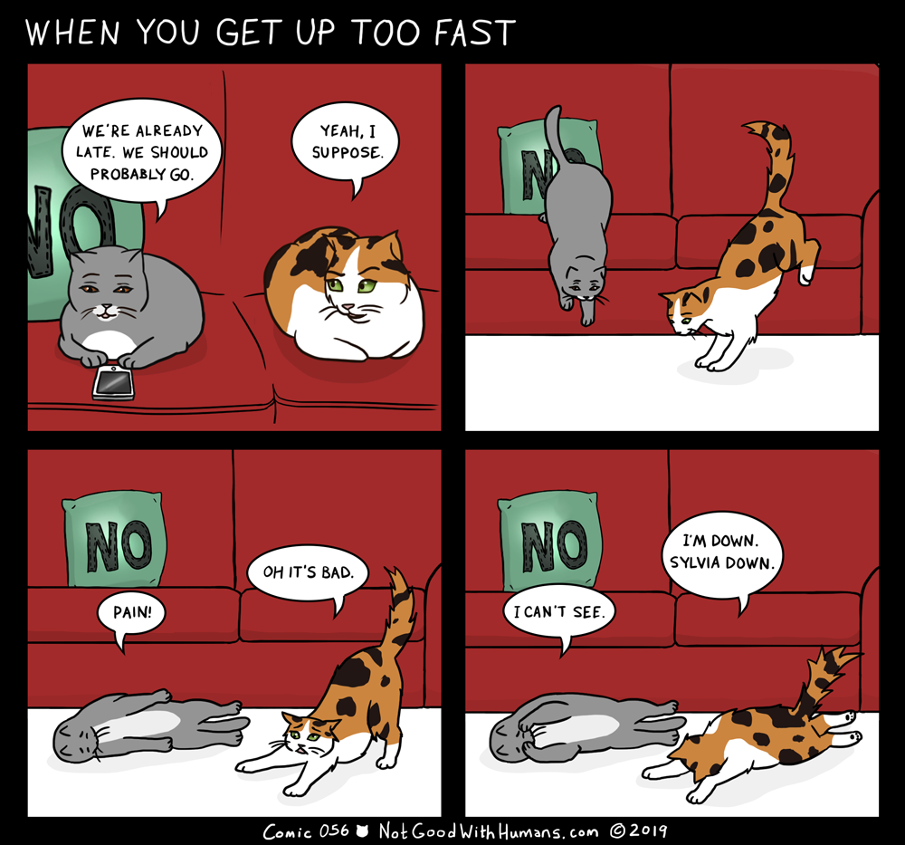 not good with humans notgoodwithhumans.com cat cats introvert introverts 