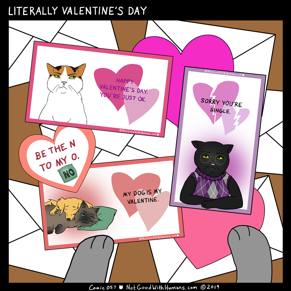 not good with humans notgoodwithhumans.com cat cats introvert introverts 