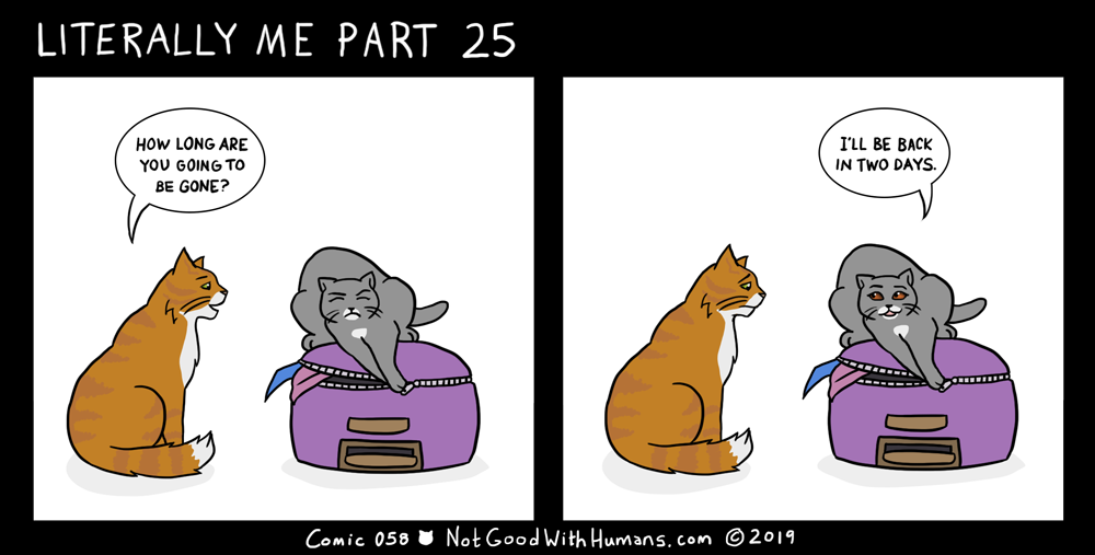 not good with humans notgoodwithhumans.com cat cats introvert introverts 