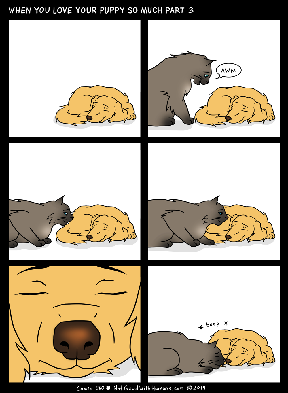 not good with humans notgoodwithhumans.com cat cats introvert introverts 