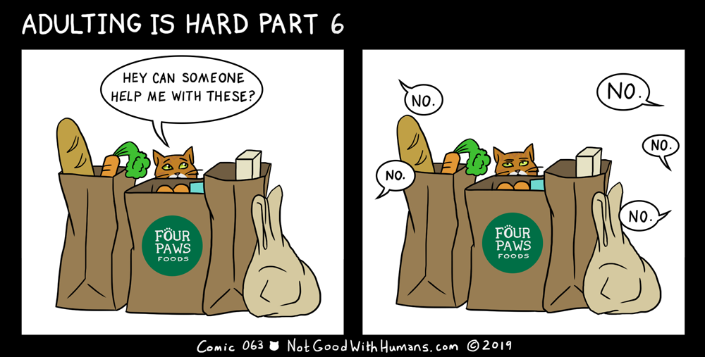 not good with humans notgoodwithhumans.com cat cats introvert introverts 