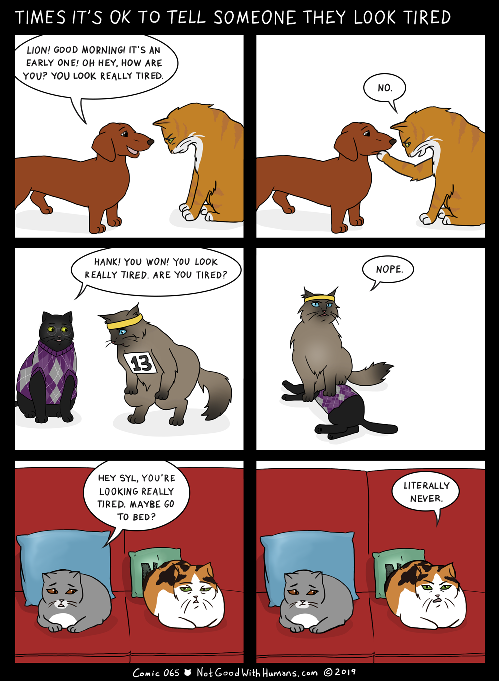 not good with humans notgoodwithhumans.com cat cats introvert introverts 