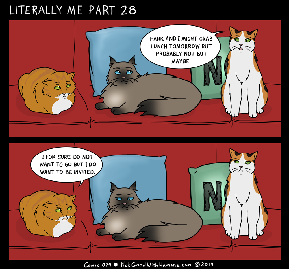 not good with humans notgoodwithhumans.com cat cats introvert introverts 