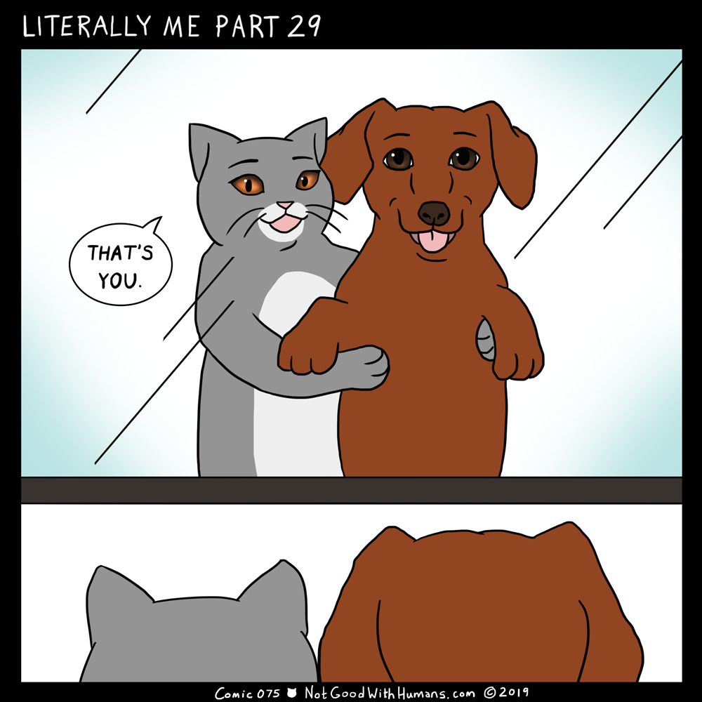 not good with humans notgoodwithhumans.com cat cats introvert introverts 