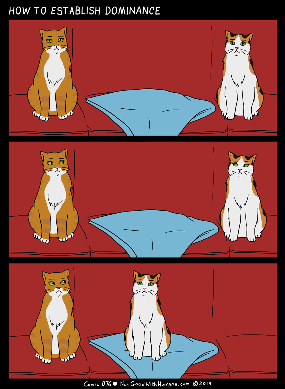 not good with humans notgoodwithhumans.com cat cats introvert introverts 