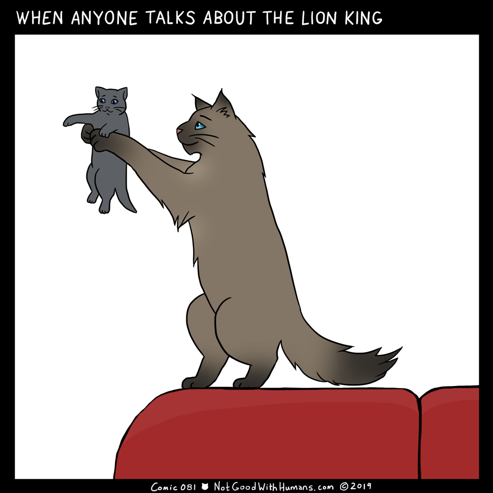 not good with humans notgoodwithhumans.com cat cats introvert introverts 
