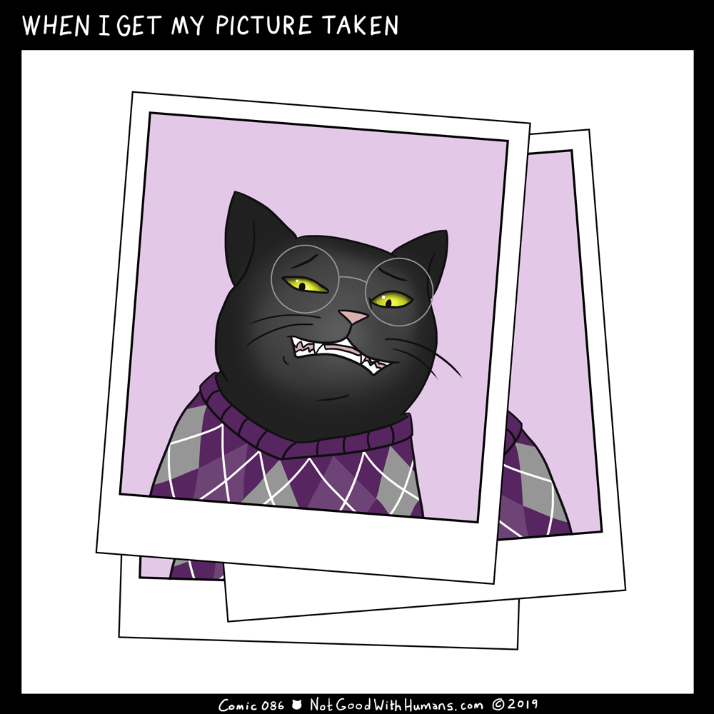 not good with humans notgoodwithhumans.com cat cats introvert introverts 