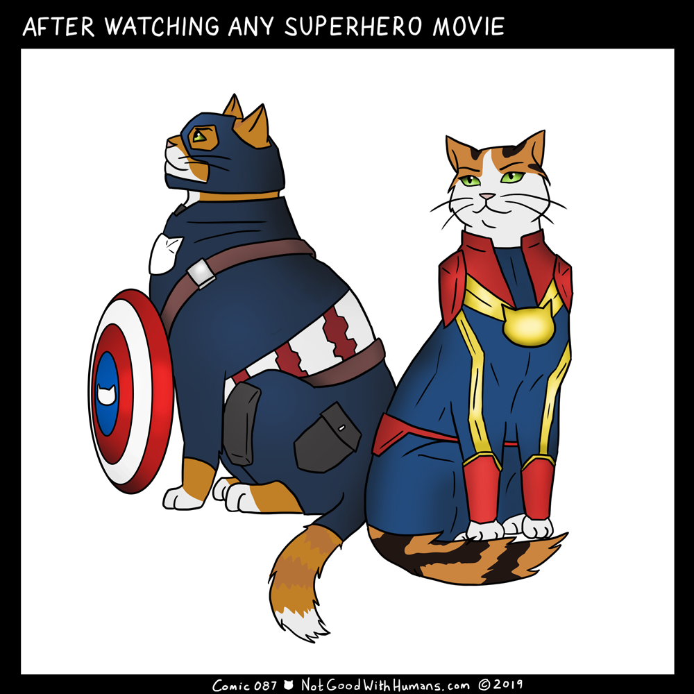 not good with humans notgoodwithhumans.com cat cats introvert introverts 