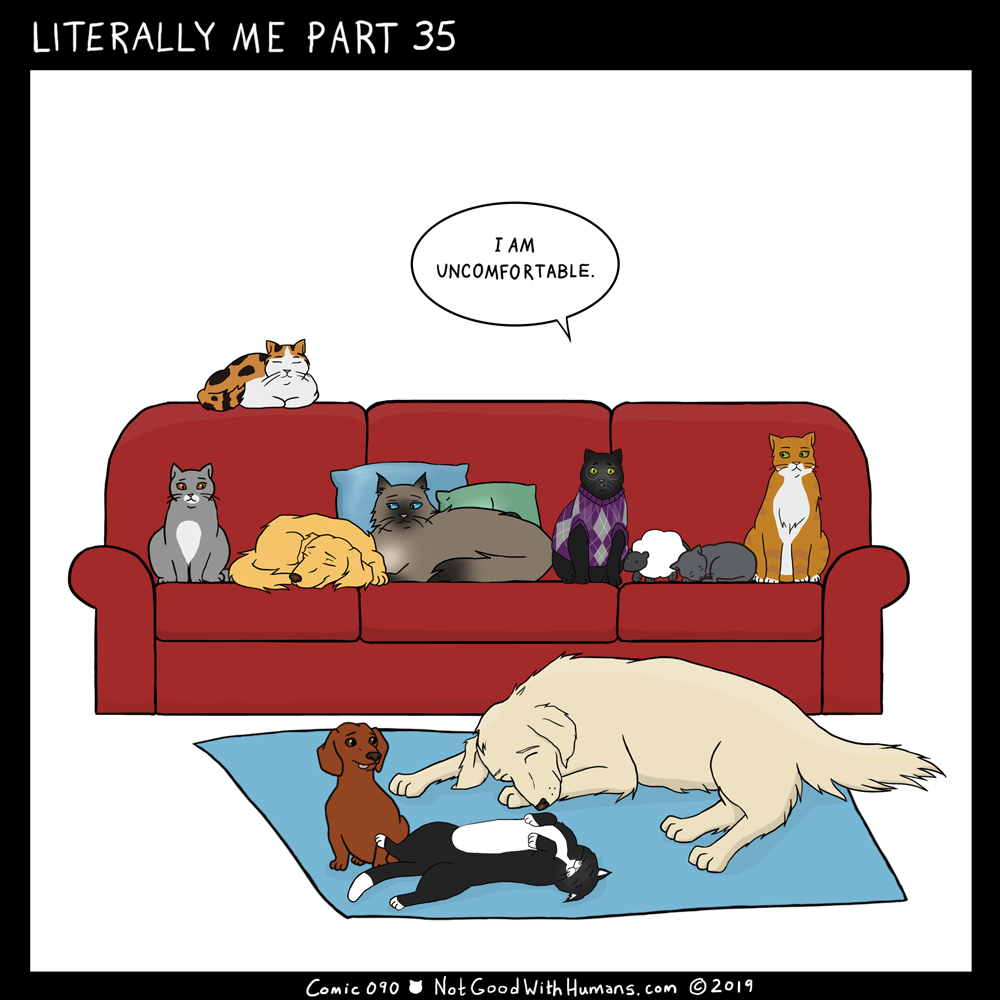 not good with humans notgoodwithhumans.com cat cats introvert introverts 