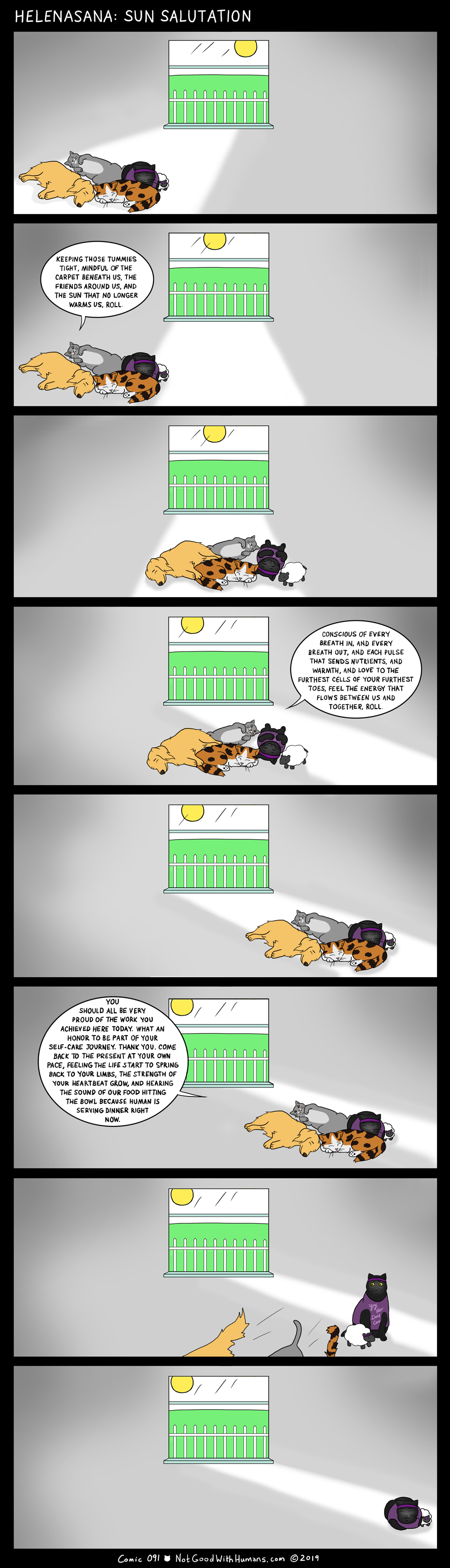 not good with humans notgoodwithhumans.com cat cats introvert introverts 