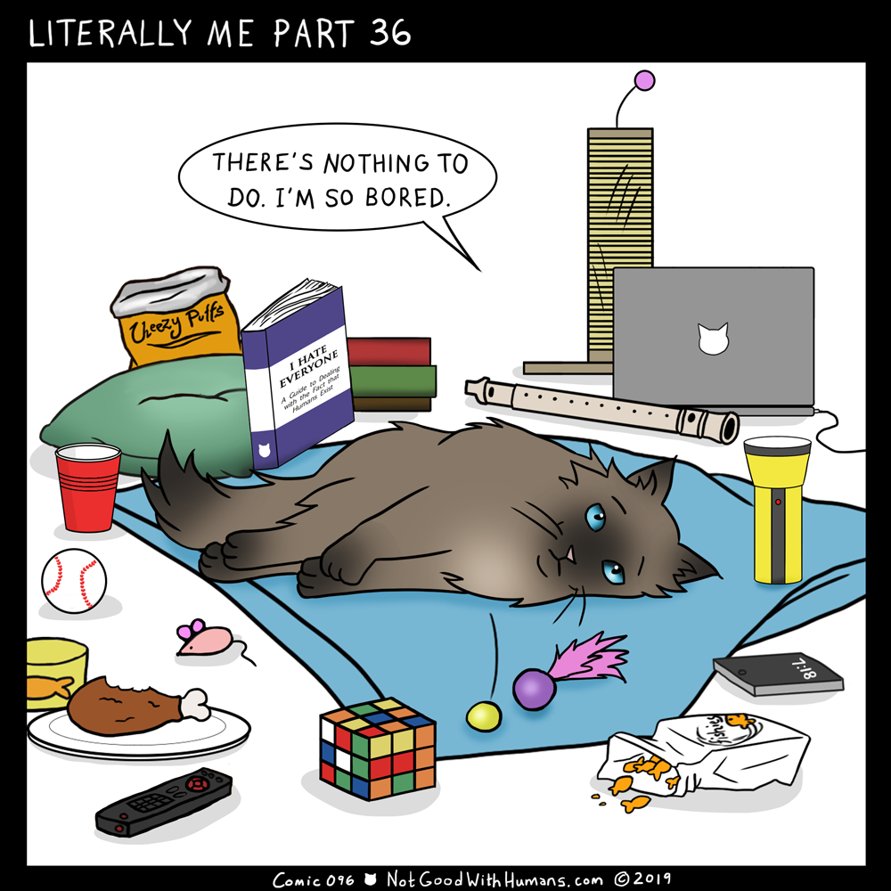 not good with humans notgoodwithhumans.com cat cats introvert introverts 