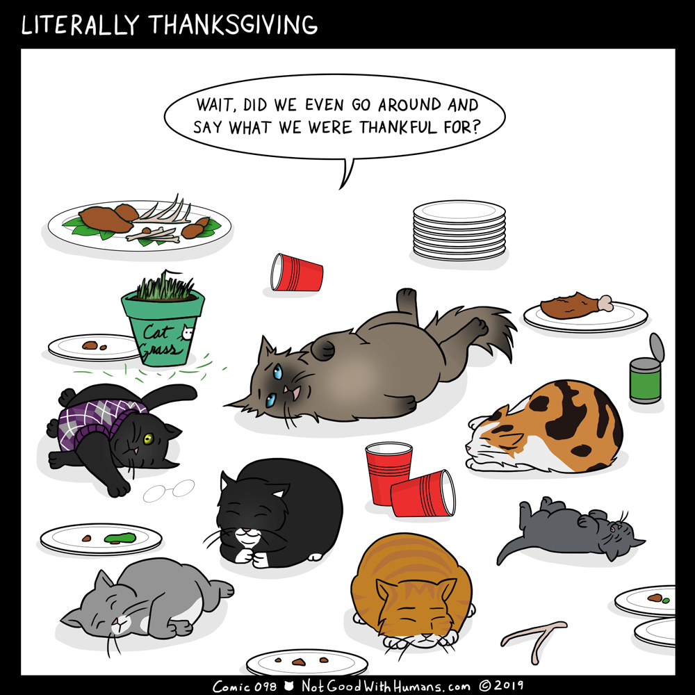 not good with humans notgoodwithhumans.com cat cats introvert introverts 