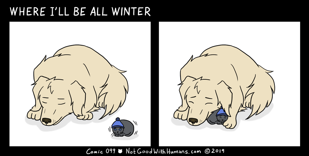 not good with humans notgoodwithhumans.com cat cats introvert introverts 