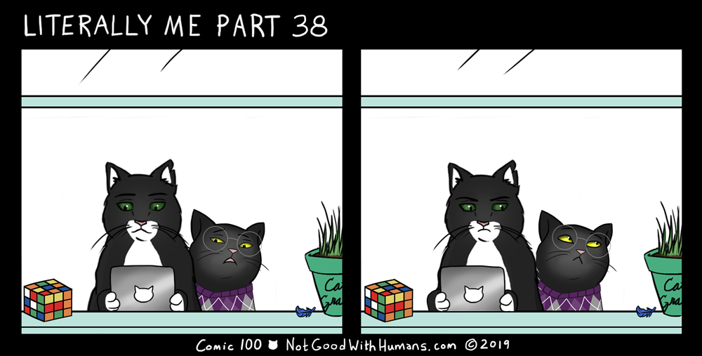 not good with humans notgoodwithhumans.com cat cats introvert introverts 