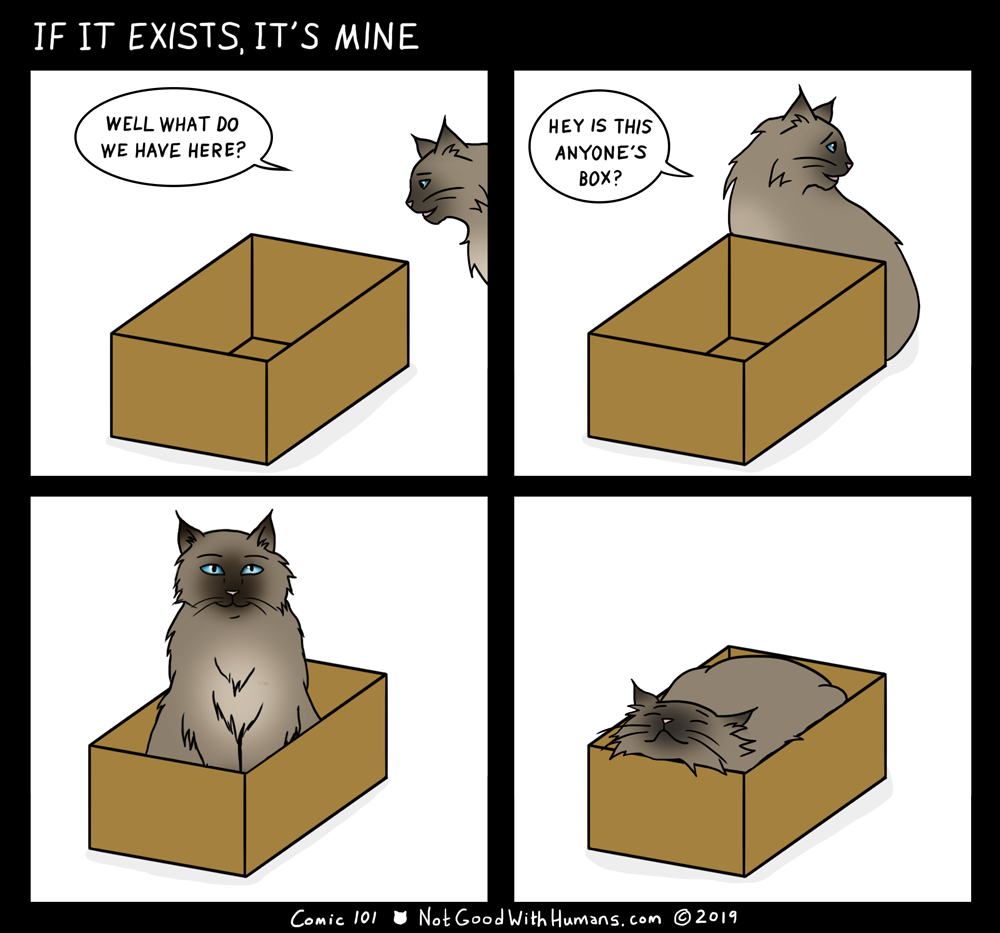 not good with humans notgoodwithhumans.com cat cats introvert introverts 
