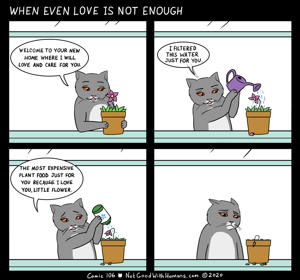 not good with humans notgoodwithhumans.com cat cats introvert introverts 