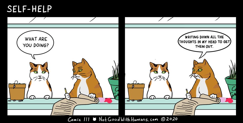 not good with humans notgoodwithhumans.com cat cats introvert introverts 