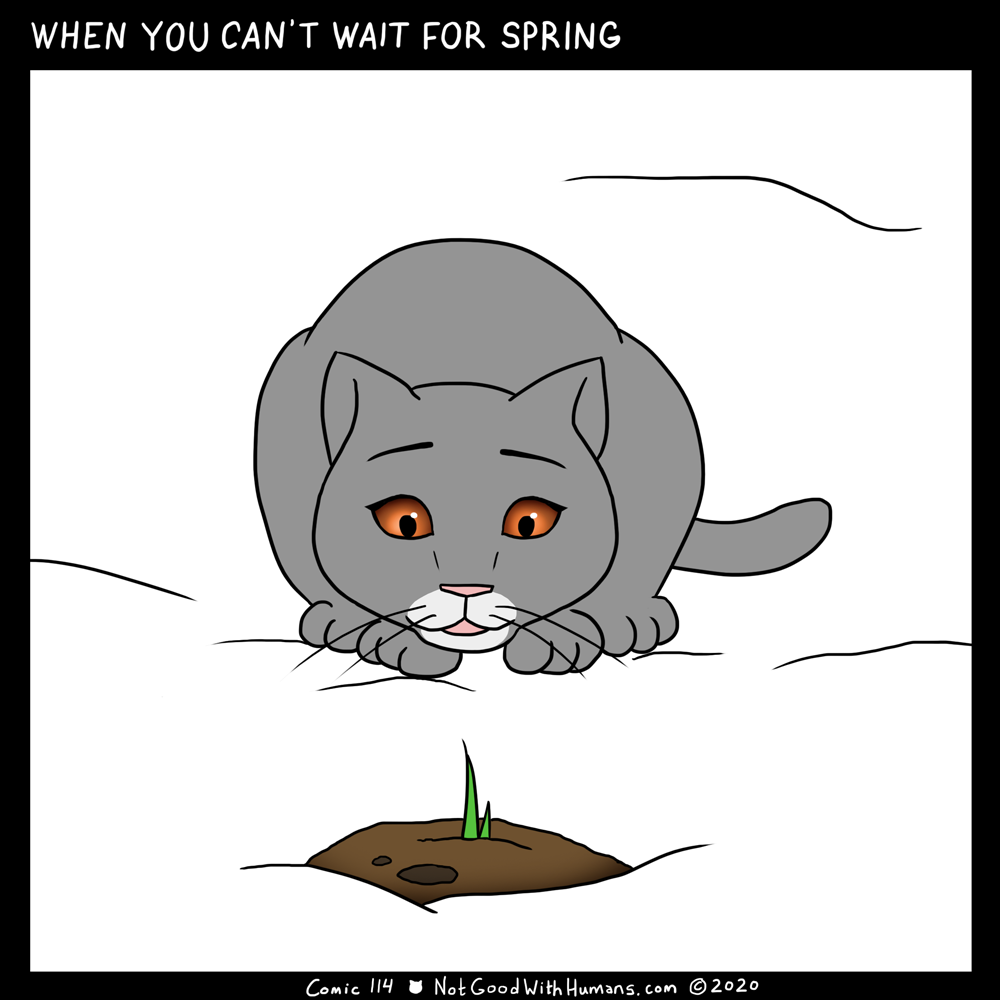 not good with humans notgoodwithhumans.com cat cats introvert introverts 