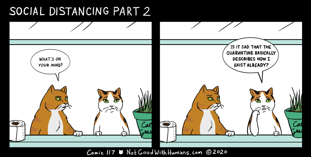 not good with humans notgoodwithhumans.com cat cats introvert introverts 