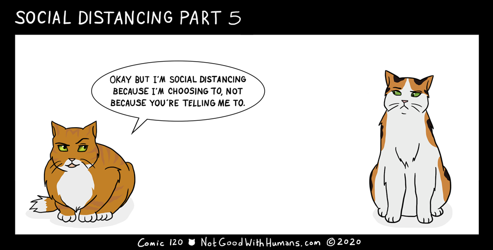 not good with humans notgoodwithhumans.com cat cats introvert introverts 
