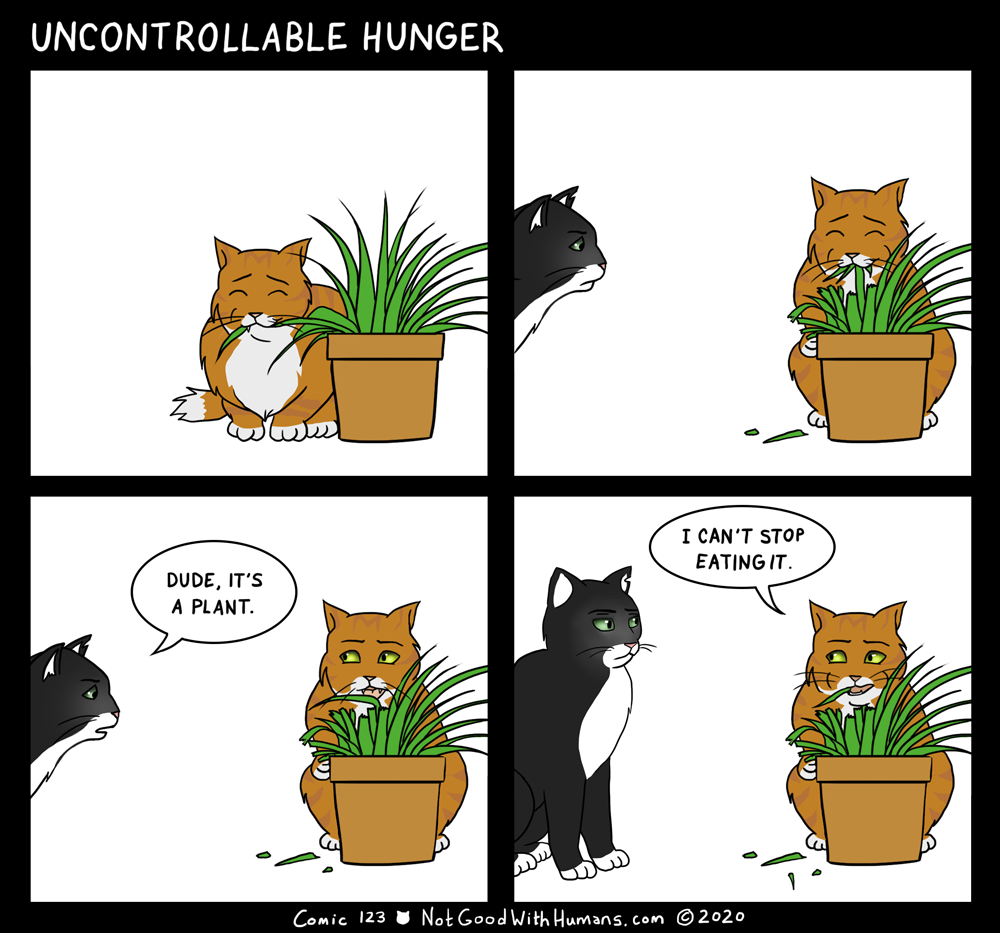 not good with humans notgoodwithhumans.com cat cats introvert introverts 