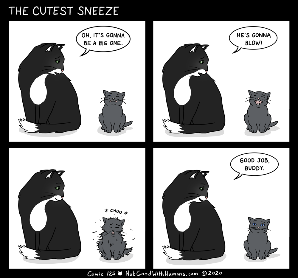 not good with humans notgoodwithhumans.com cat cats introvert introverts 