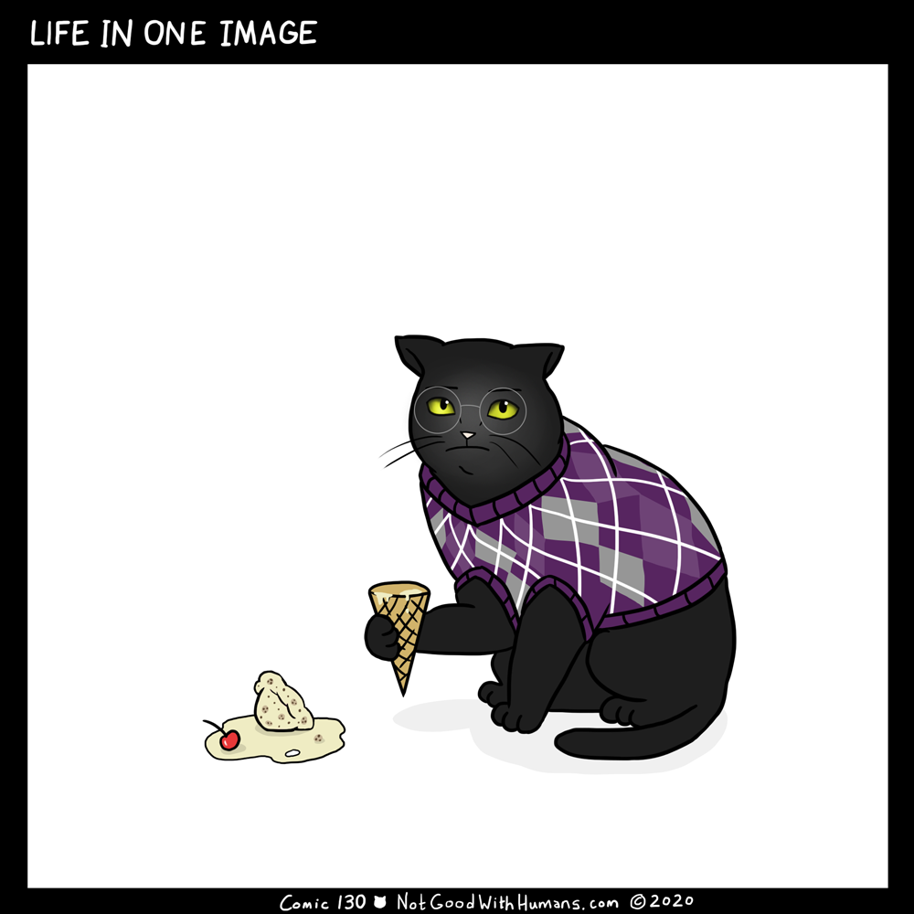 not good with humans notgoodwithhumans.com cat cats introvert introverts 