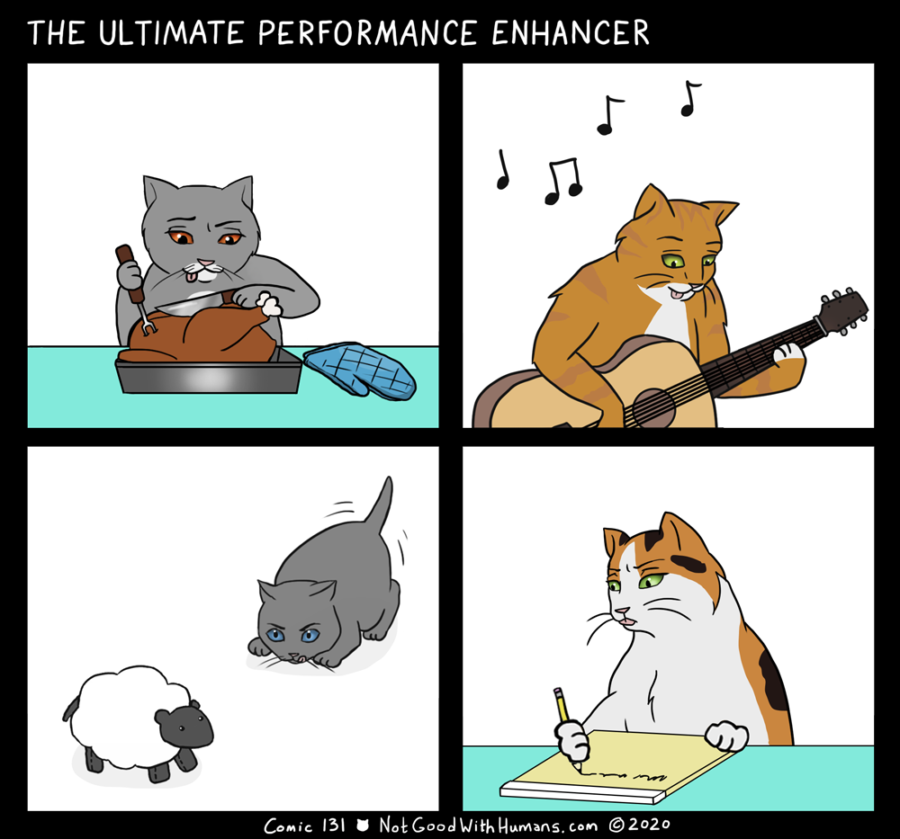 not good with humans notgoodwithhumans.com cat cats introvert introverts 