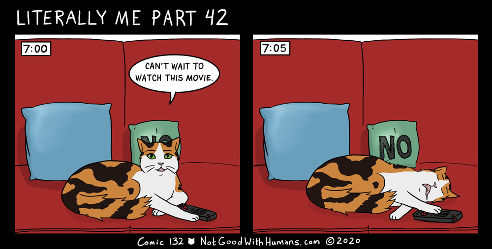 not good with humans notgoodwithhumans.com cat cats introvert introverts 