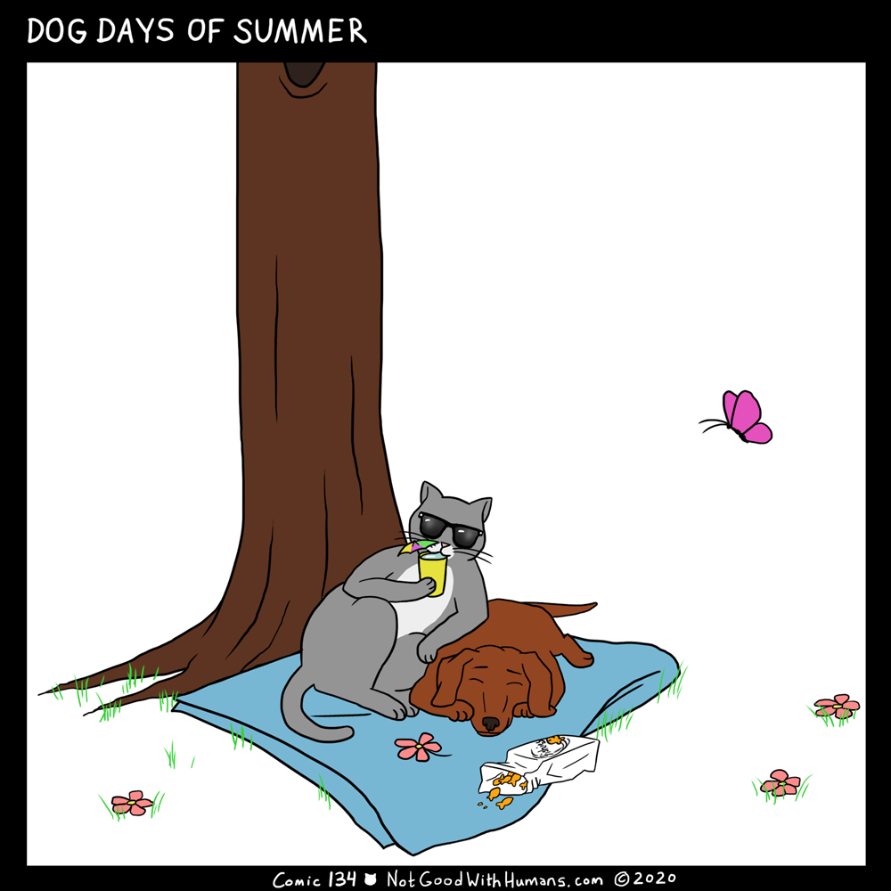 not good with humans notgoodwithhumans.com cat cats introvert introverts 