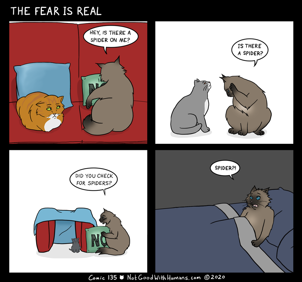 not good with humans notgoodwithhumans.com cat cats introvert introverts 