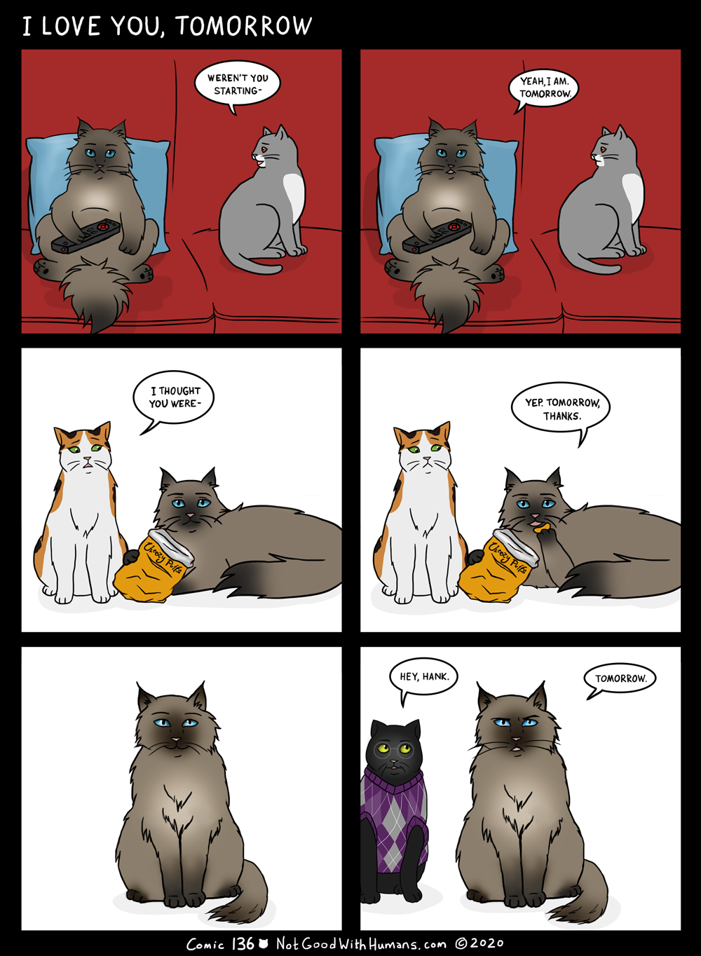 not good with humans notgoodwithhumans.com cat cats introvert introverts 