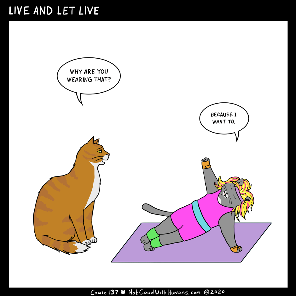 not good with humans notgoodwithhumans.com cat cats introvert introverts 