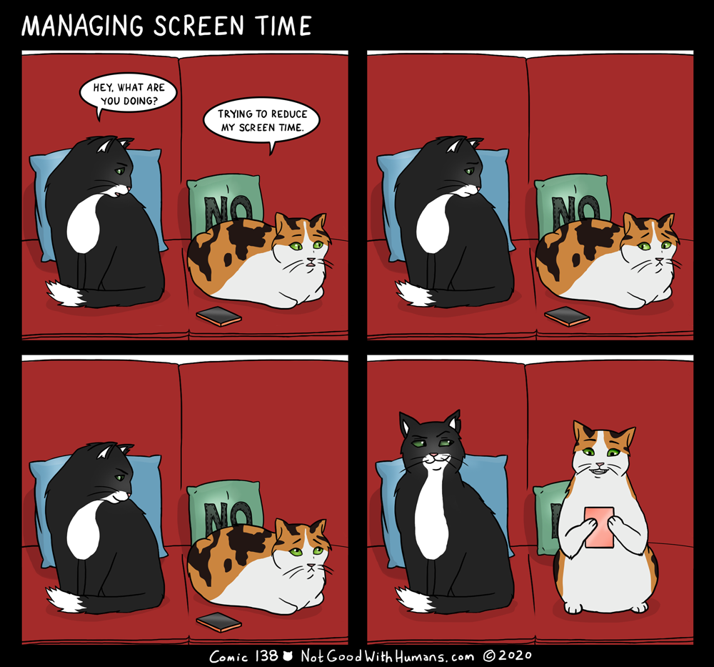 not good with humans notgoodwithhumans.com cat cats introvert introverts 