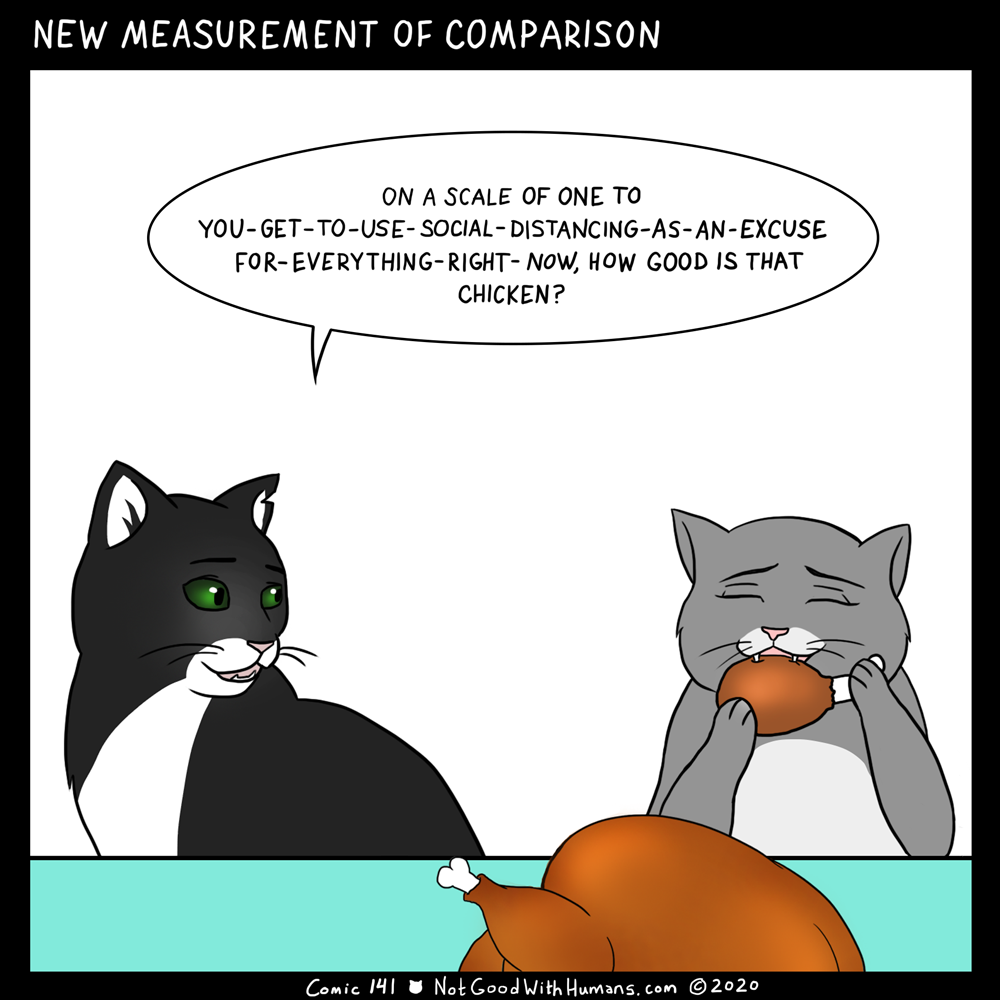 not good with humans notgoodwithhumans.com cat cats introvert introverts 