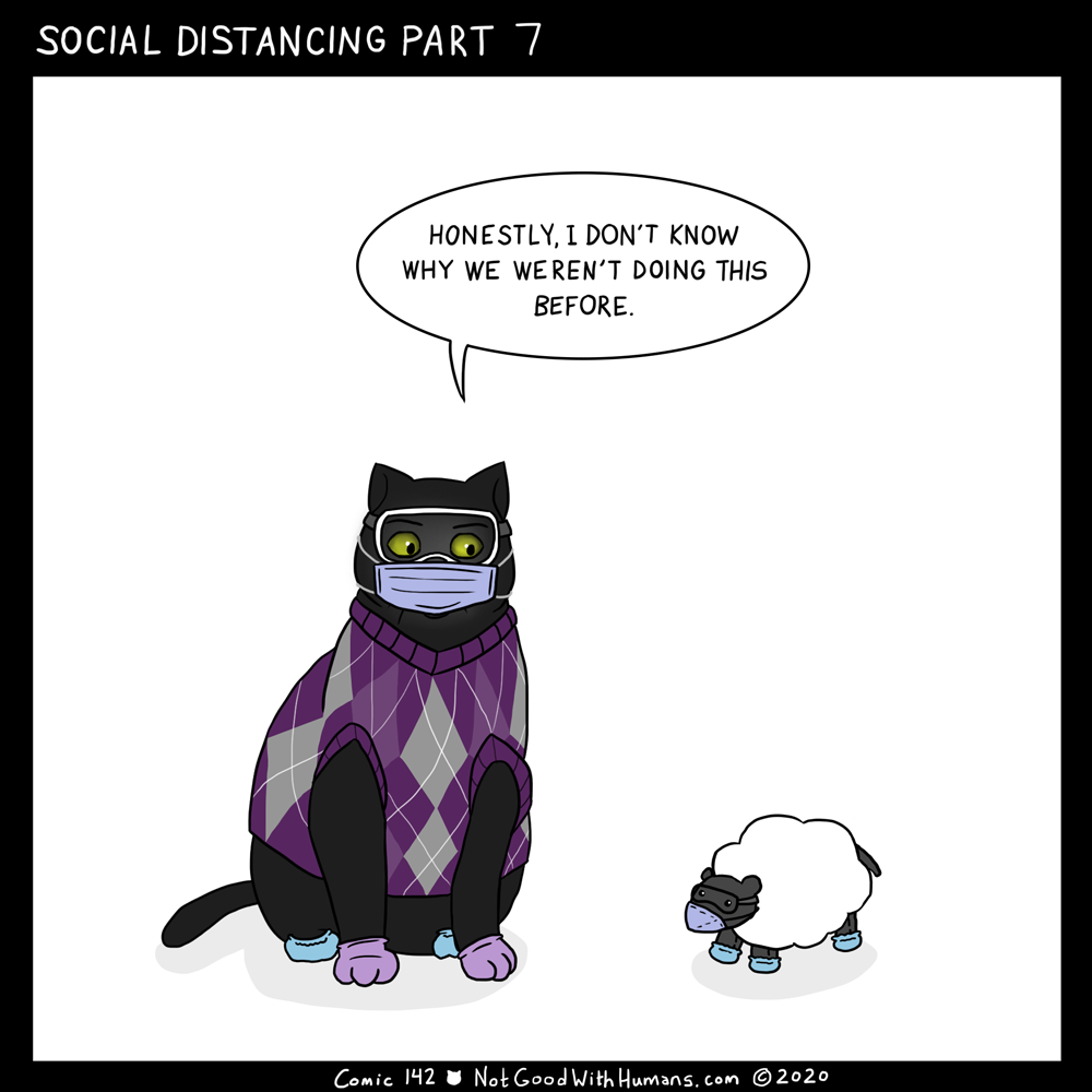 not good with humans notgoodwithhumans.com cat cats introvert introverts 